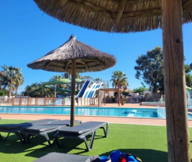 Piscine avec transats et parasols au camping La Palmeraie à Torreilles