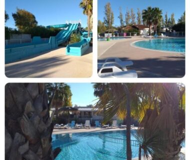Piscine extérieure avec toboggans et palmiers au camping Le Bel' Azur