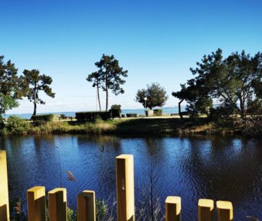 Terrasse au bord du bassin d'Arcachon avec palissade et pins au Bungalow du Ferret