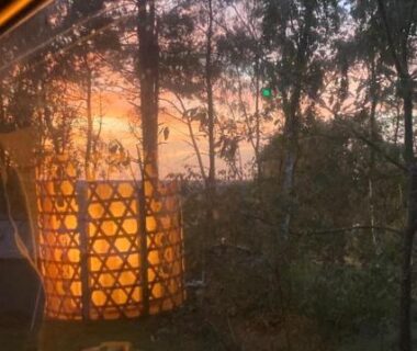 Fenêtre sur les arbres au coucher de soleil avec lanterne allumée dans Le Bus de la Forêt