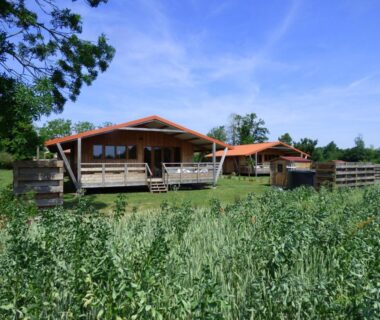 Prairie et chalets en bois dans le camping Le Carbet Vendéen