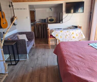 Intérieur du chalet avec lit canapé kitchenette et TV dans Le Chalet des Dany