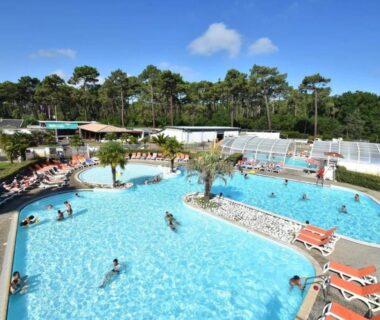 Piscine extérieure avec transats et palmiers au camping Le Chevreuil Vert