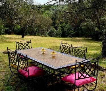 Espace herbeux avec table et chaises sous les pins au camping Le Cocon au fil de soi