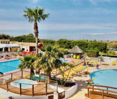 Piscine extérieure solarium et palmiers au camping Le Lac des Rêves