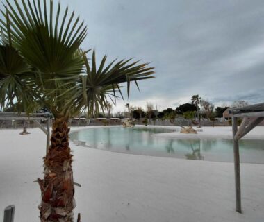 Piscine lagon avec palmiers dans le camping Le Mobilhome Douillet climatisé 5 pers