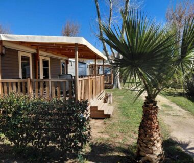 Terrasse en bois avec palmiers du Mobilhome Douillet climatisé 5 pers