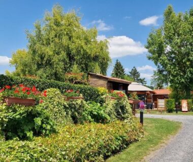 Allée arborée avec mobil-homes et haies au camping Le Pont Rouge et Les Vignes
