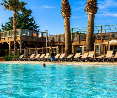 Piscine extérieure bordée de palmiers et transats au camping Le Zéphyr