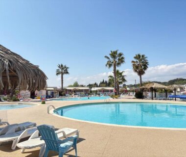 Piscine extérieure avec transats et palmiers au camping Le cabanon