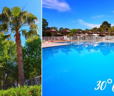 Piscine et palmiers au mobilhome de Maelya