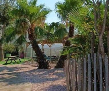 Allée en bois bordée de palmiers menant à la piscine du camping Le paradis du sud