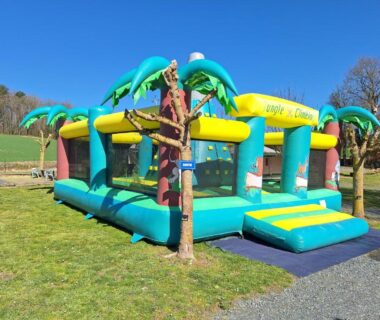 Espace extérieur gazon avec structure gonflable et palmiers au camping Les 2 étangs La Foulonnerie Lodge Tente