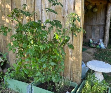 Coin jardin avec bacs de plantes et cabanon en bois au camping Les Hulottes
