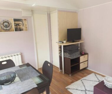 Séjour avec table à manger, tapis et télévision dans Les chalets Salinéens
