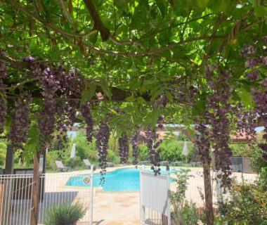 Pergola fleurie au-dessus de la piscine du camping Les chalets de Fiolles