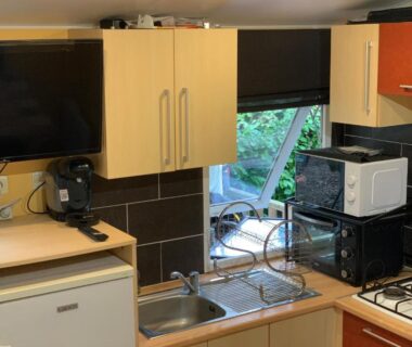 Cuisine équipée avec évier et micro-ondes dans Les mobil homes d’oliver rob