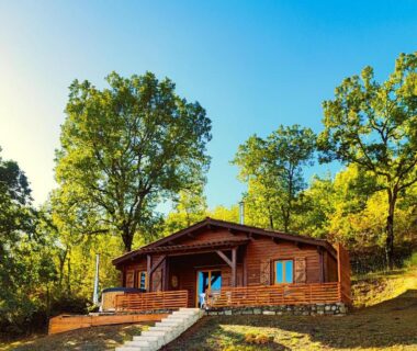 Chalet en bois sur coteau entouré d'arbres avec terrasse au camping Les nids de Bonnan