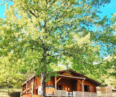 Chalet en bois sous grand arbre dans le camping Les nids de Bonnan