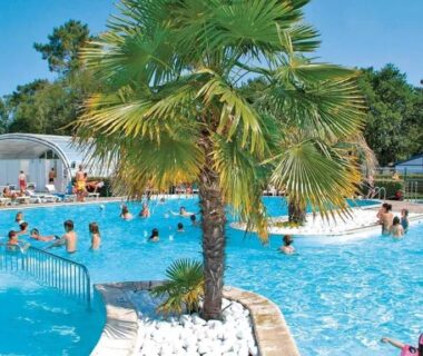 Piscine extérieure animée avec palmiers et baigneurs au camping Les pieds dans l'eau, le coeur en vacances