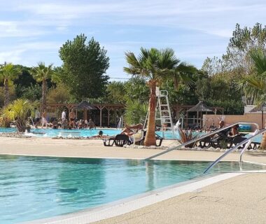 Bord de piscine avec transats et palmiers au camping Les sables du midi