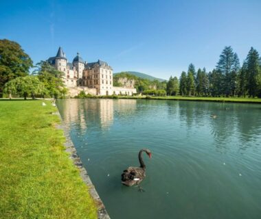 Étang avec un cygne noir devant un château au camping L'imprévu