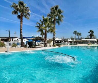 Piscine extérieure bordée de palmiers au camping Little John