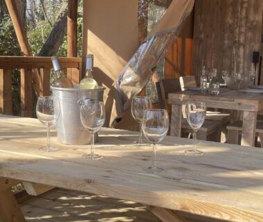 Terrasse en bois avec table seau à glace et hamac aux Lodges & Nature – 47