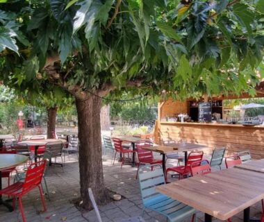Terrasse ombragée avec tables et bar du camping Lodges & Nature – 71