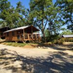 Allée ombragée et lodges en bois aux Lodges du Ushuaïa Villages Camping les 4 Saisons