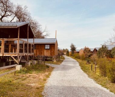Allée gravillonnée bordée de lodges en bois aux Lodges du Ushuaïa Villages Camping les 4 Saisons