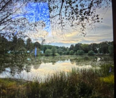 Étang avec végétation et arbres au coucher du soleil au camping Louisiane 1