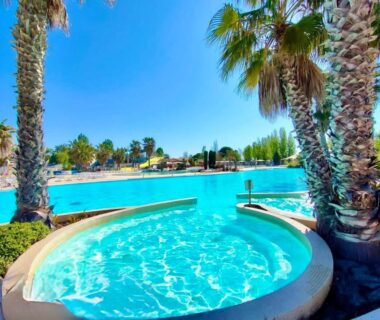 Piscine lagon bordée de palmiers dans l'aire aquatique du camping MA105 Le Mazet