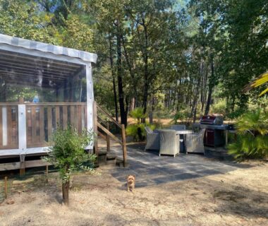 Terrasse bois et salon de jardin au milieu des pins du mobil-home MH 007 ELITE 3 chambres