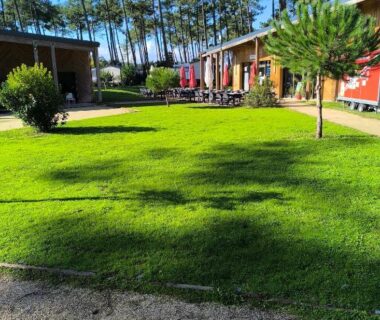 Pelouse et mobil-homes dans le MH 201
