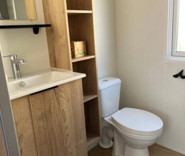 Salle de bains avec lavabo meuble étagères et WC dans le MH 399