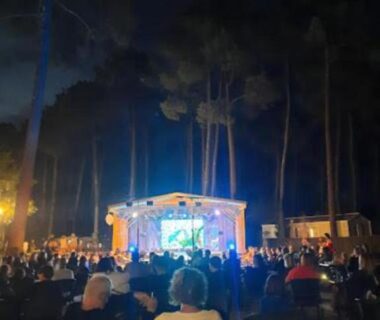 Soirée nocturne avec scène et public entre pins dans le MH 542 Spacieux 40m2