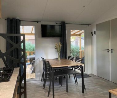Séjour avec table et télévision dans le mobil-home MOBIL-HOME 3CH 34 m2 à SAINT-CYPRIEN