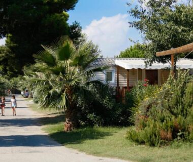 Allée ombragée avec palmiers et terrasses du mobil-home 3ch 34 m2 à Saint-Cyprien