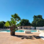 Bord de piscine avec palmier et transats au MOBIL HOME 6 Places CLIMATISE