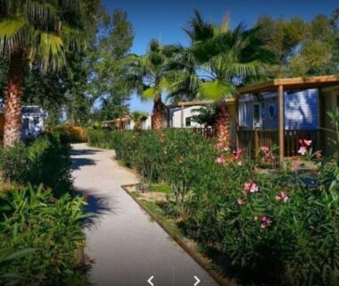Allée du camping bordée de palmiers et mobil homes au MOBIL HOME n 1 TOUT CONFORT ST CYPRIEN 66