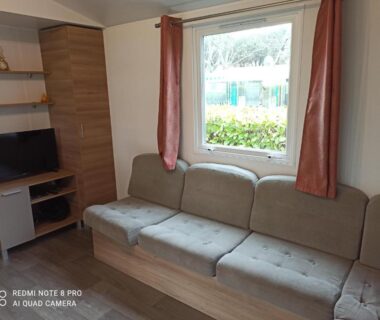 Salon avec canapé et télévision dans le MOBILHOME 3 CHBRES 2 SDE 2 WC LV LL TV CLIM TOUT CONFORT