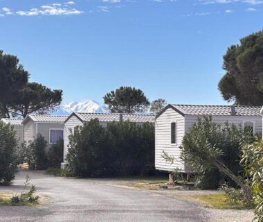 Allée du camping avec mobilhomes et pins au mobilhome BORA BORA 6 à 8 PERSONNES
