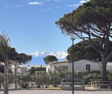Allée du camping bordée de mobilhomes et pins avec vue mer du MOBILHOME BORA BORA 6 à 8 PERSONNES