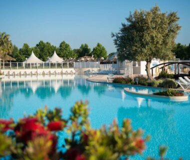 Piscine extérieure avec transats et palmiers au Mobilhome Fabuleux Camping Vias Plage