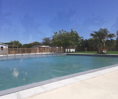 Piscine extérieure avec palmiers du Mobilhome agréable sans draps ni serviettes
