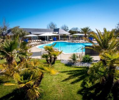 Piscine extérieure entourée de palmiers au M&V Resort Camping