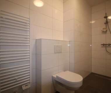 Salle de bain avec douche et toilettes dans MaisonBruyess M1