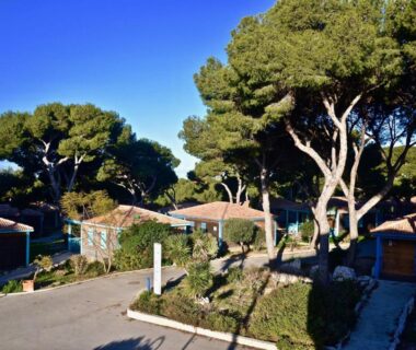 Allée ombragée entre chalets et pins dans les Chalets de la Mer à Martigues