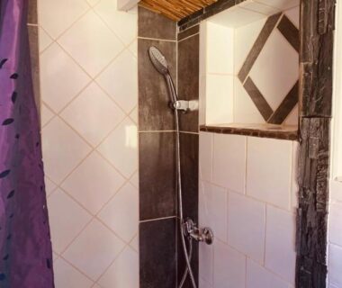 Salle de douche carrelée avec pommeau dans le Mini chalet cozy esprit zen et insolite